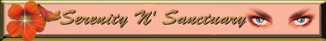Serenity n' Sanctuary (formerly ''A Woman's Sanctuary'')....Help End Domestic Violence