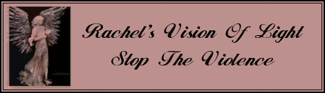 Stop The Violence!  Rachel Miller's Story