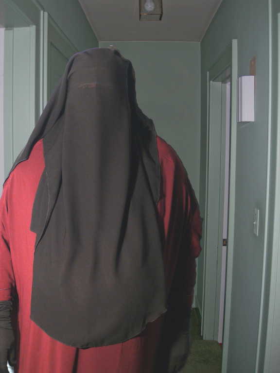 pict1