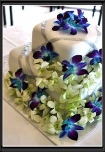 cake1.jpg