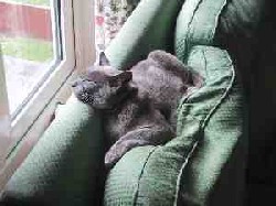 Chilled out