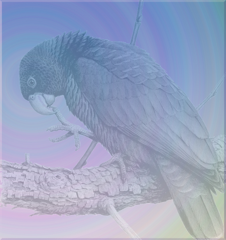 Edited Image