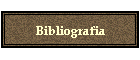 Bibliografia