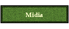 Midia