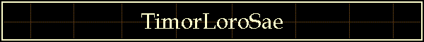 TimorLoroSae