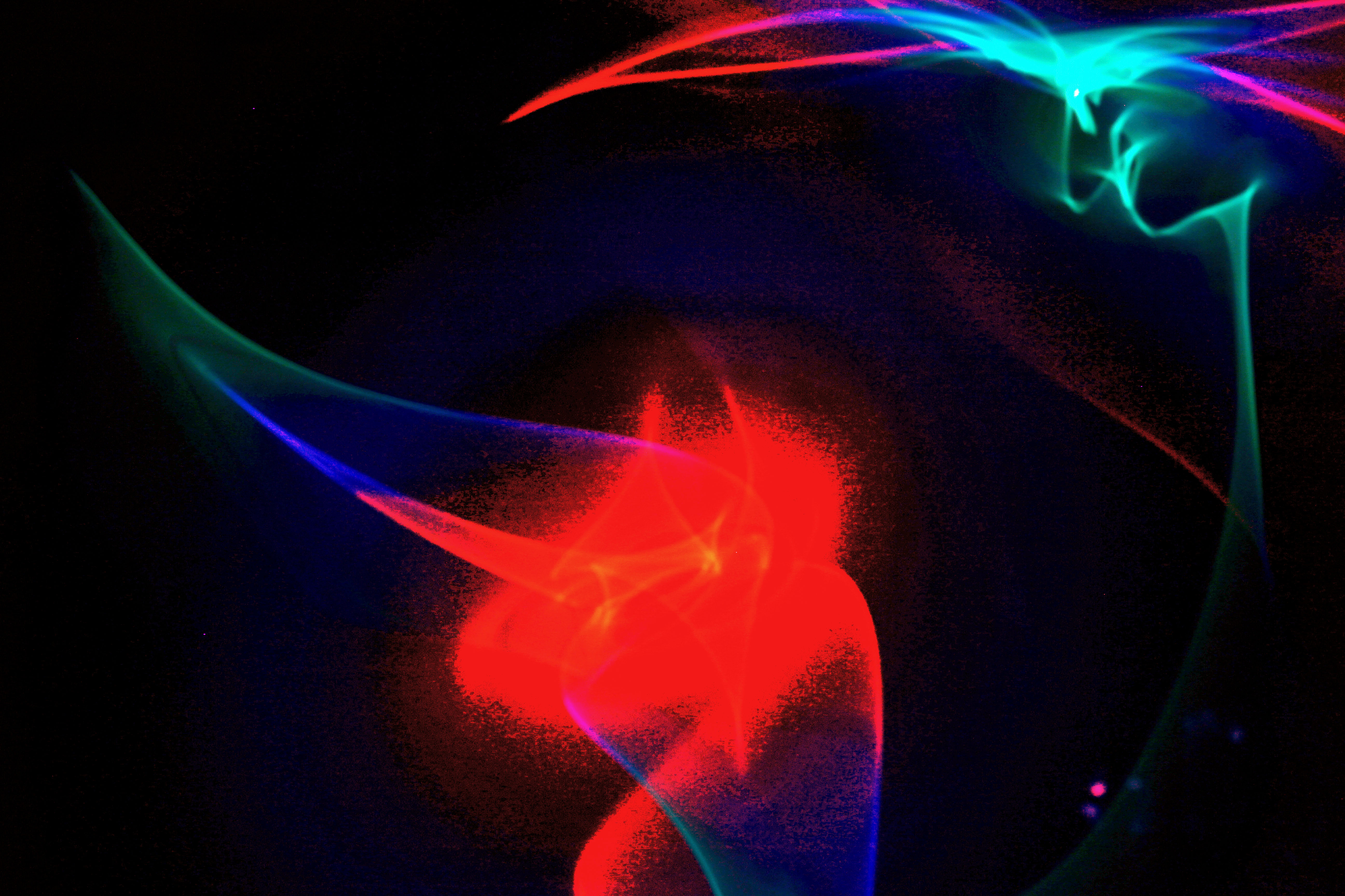lights