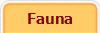 Fauna