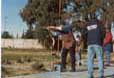 fotos aptf