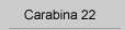 carabina 22