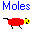 Moles Icon
