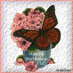 From Amber