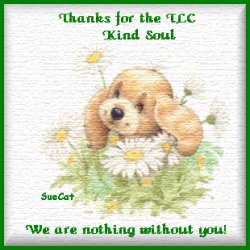 From Sue Cat