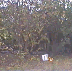 Ka-F*ckin-BOOM!