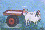 Bullock Cart