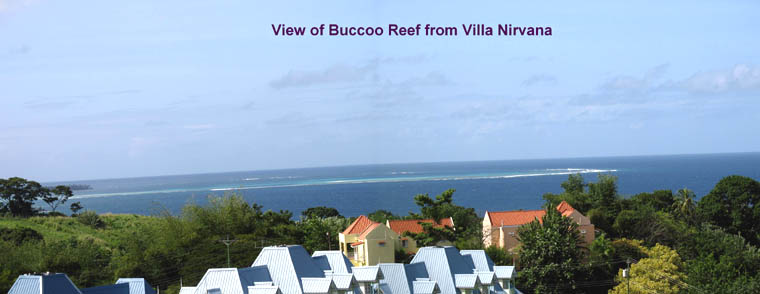 View from Villa Nirvana