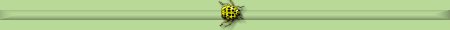 bugbar