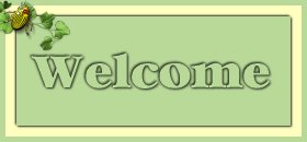 Welcome!