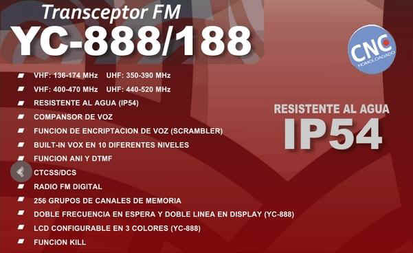 yc8881.JPG (37960 bytes)