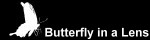 Butterfly in a Lens
