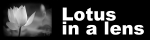 Lotus in a Lens