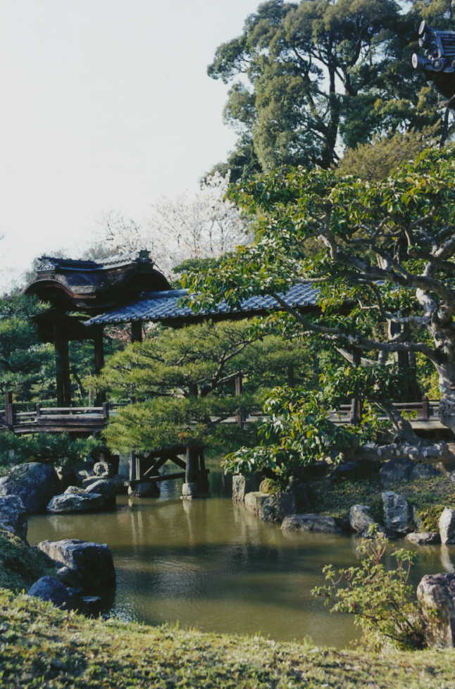 japanese garden