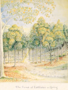 J.R.R. Tolkien -- Lotholorien in Spring