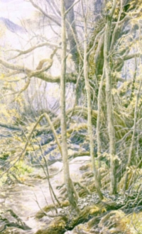 Alan Lee -- The Old Forest