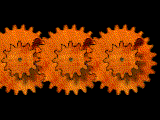 Gear Fun