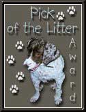 Pick of the Litter Award
