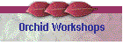 Orchid Workshops