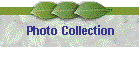 Photo Collection