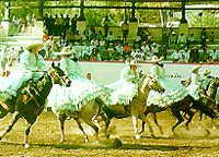 Escaramuza