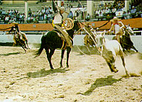 Manganas a Caballo