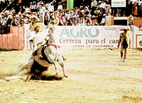 Cala de Caballo