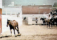 Piales en el Lienzo