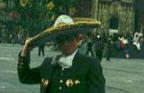 Z�calo