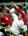 hermanosrugby.JPG (220776 bytes)