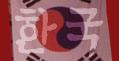 Korean flag logo