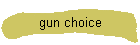 gun choice