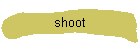 shoot