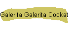 Galerita Galerita Cockatoo