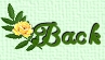back icon