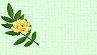 blank icon