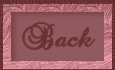back icon
