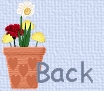back icon