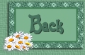 back icon