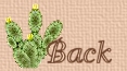 back icon