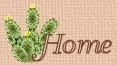 home icon