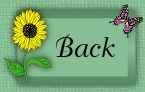 back icon