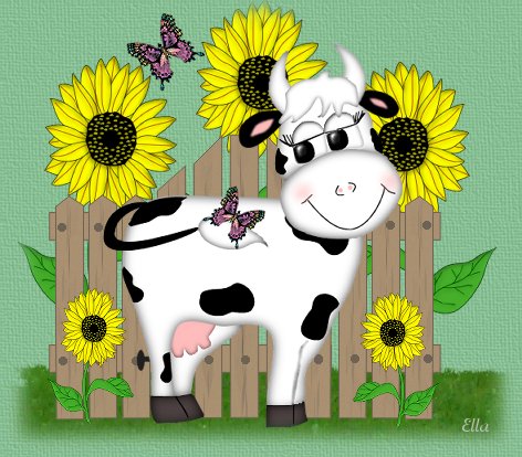 cow